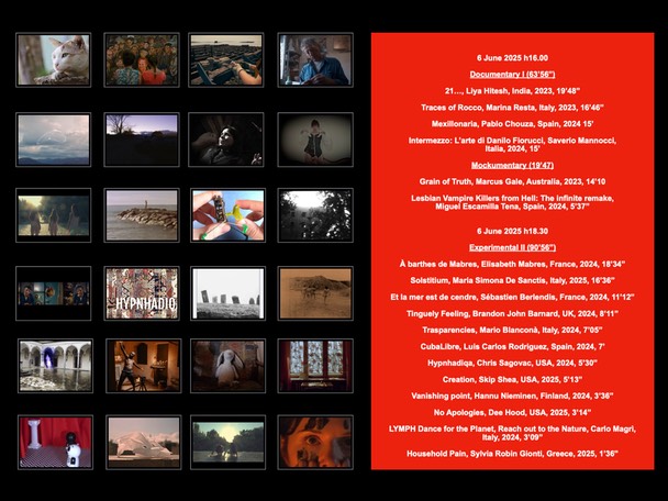 UUFF 2025 Catalogue.4